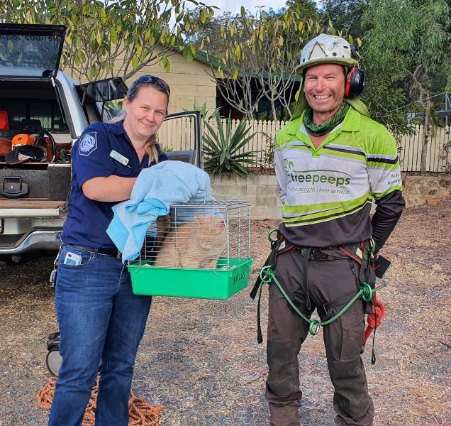 Rescue officers with rescued cat